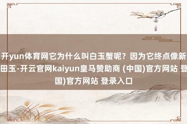 开yun体育网它为什么叫白玉蟹呢?因为它终点像新疆的和田玉-开云官网kaiyun皇马赞助商 (中国)官方网站 登录入口