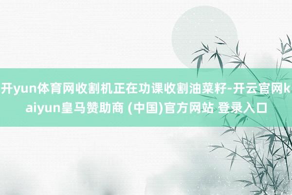 开yun体育网收割机正在功课收割油菜籽-开云官网kaiyun皇马赞助商 (中国)官方网站 登录入口